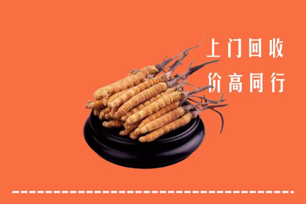 海拉尔区回收冬虫夏草