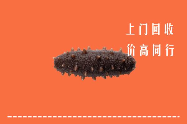 海拉尔区回收海参