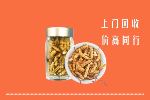 海拉尔区回收冬虫夏草